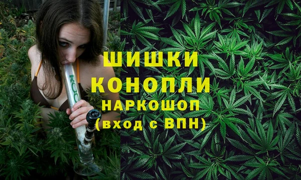 ПСИЛОЦИБИНОВЫЕ ГРИБЫ Покров