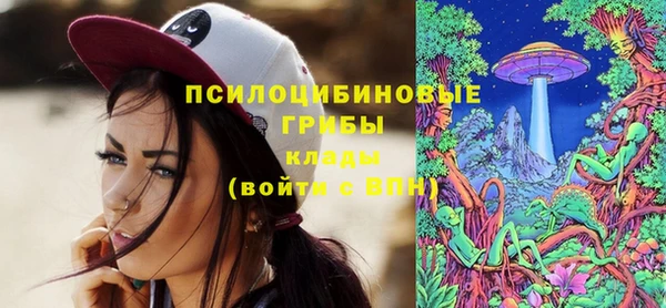 бошки Покровск