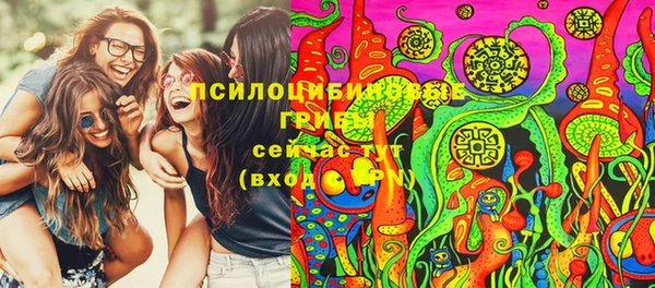 дурь Переславль-Залесский